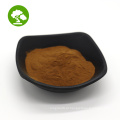 Extrato de cogumelo reishi de alta qualidade Ganoderma lucidum